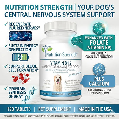 Vitamin B12 for Dogs Plus Folate & Calcium, Support the Nervous System & Blood Cell Formation, Help Sustain Cellular Energy Generation & Maintain DNA Synthesis, 120 Chewable Tablets