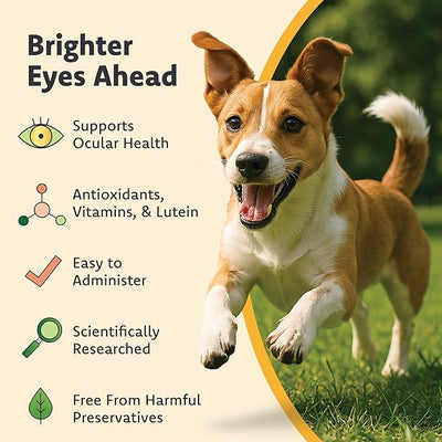 Ocu-GLO for Medium to Large Dogs, 11+ lb, 90 Count