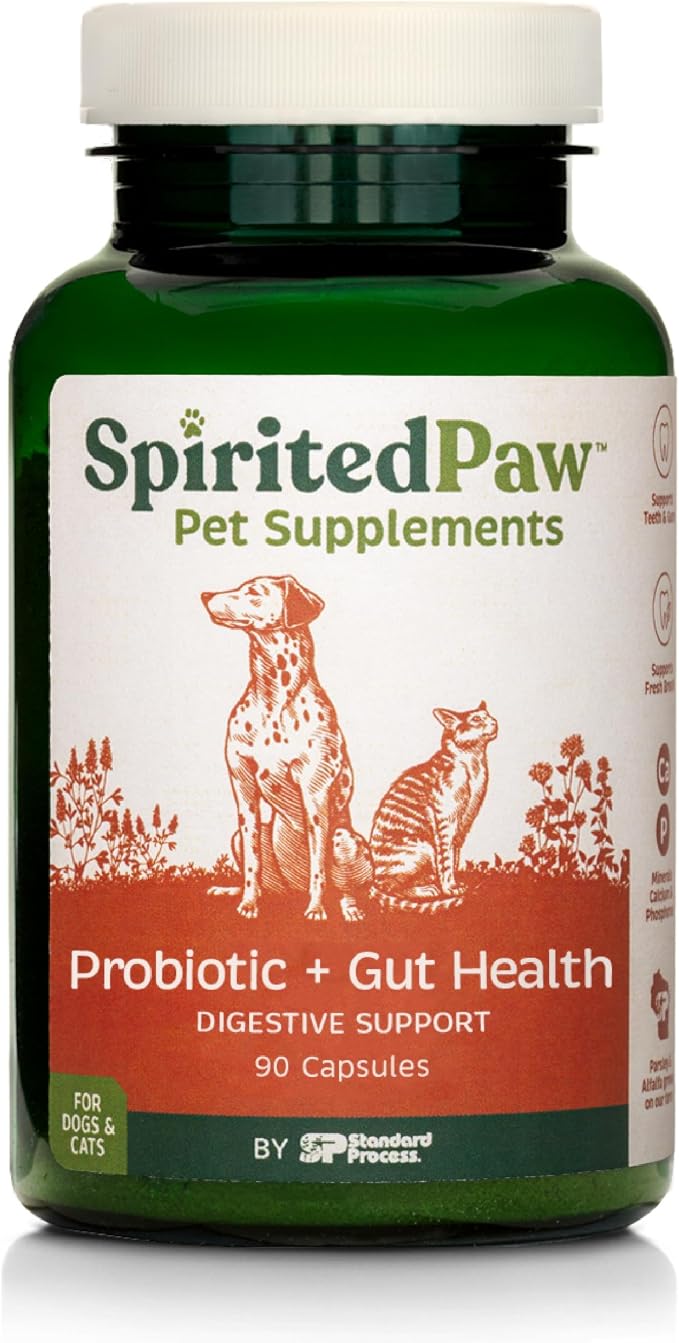 Probiotic + Gut Health - Digestive & Immune Support for Dogs & Cats - Prebiotic, Probiotic & Postbiotic Pet Care Blend with Organic Buckwheat & Chicory Root Fiber - 90 Capsules
