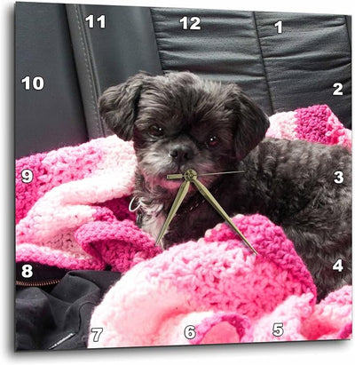 3dRose A Sweet Black Doggie on a Pink Blanket in Back seat of car 10x10 Wall Clock