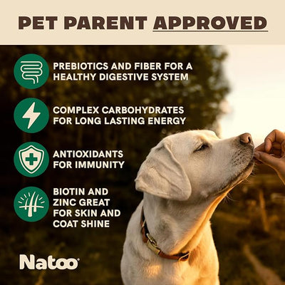 NATOO Biscuits for Small Dogs & Puppies, Coconut & Mango, 8 oz | Crunchy Treats, Rich in Omega 6, Prebiotics & Fiber, Antioxidants for Immunity, Healthy Natural