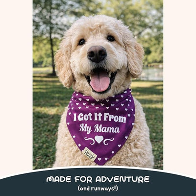 Funny Snap-On Dog Bandana for Small Medium Large Pets, Dogs Cats Adjustable Handkerchief Scarf for Girl & Boy, Cute Puppy Apparel & Accessories (Got It from My Mama, Large)