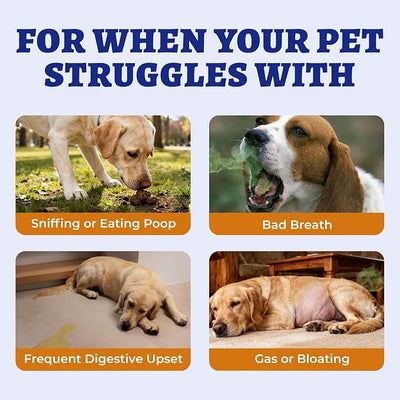Wellix 550 Bites No Poo Chews for Dogs - Stool Eating Deterrent for Dogs Coprophagia Relief with Probiotics Digestive & Gut Health - Support Breath Freshener & Immune System, Chicken & Pumpkin Flavor