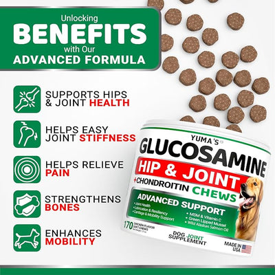 YUMA'S Glucosamine for Dogs - Hip and Joint Supplement for Dogs - 170 Ct - Glucosamine Chondroitin Chews - Joint Pain Relief Supplement with MSM - Advanced Health - Mobility Support - Made in USA