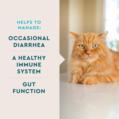 VetIQ Digestive Probiotic for Cats 30-Pack Single-Serve Chicken Liver Flavored Powder Packets - Cat Probiotics for Diarrhea, Indoor Cats, Immune Support and Daily Digestive Health