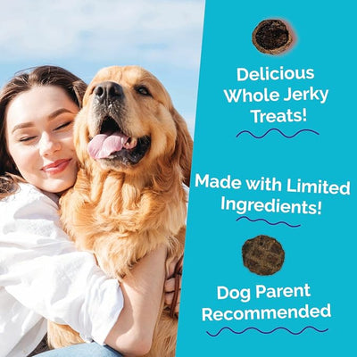 Fruitables Whole Jerky Bites, Healthy Dog Treats, Puppy Essentials, Jerky Dog Treats, Made in the USA, No Artificial Ingredients, Alaskan Salmon & Pear Flavor, 5oz