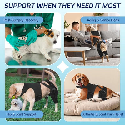 Dog Knee Brace for Torn ACL Hind Leg– Dog Leg Brace with Metal Stabilizers for Dogs with Torn ACL, Luxating Patella, Ligament Injuries & Hip Dysplasia, Limping or Osteoarthritis Recovery, XS
