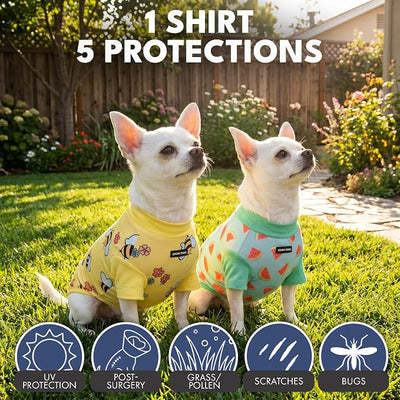Spark Paws Sunblock Dog T-Shirt, SPF30 Protection, Lightweight Breathable Quick Dry for Dogs with Sensitive Skin - Bees & Watermelon (Set of 2) - Size XL