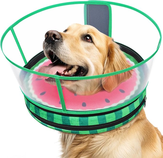Sponge Dog Cone After Surgery, No Inflation Required Dog Donut Collar to Stop Licking, Inflatable Cone Alternatives for Medium Pets, Soft Recovery Collar with Protective Shield (Watermelon,M+)
