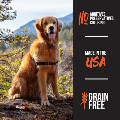 Grillerz Pork Bone, Rawhide Free, All Natural Dog Treat for All Breeds, Gluten Free, Long Lasting, Easy to Digest, For Adult Life Stages