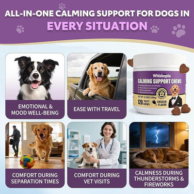 Calming Chews for Dogs Anxiety Relief Treats with Melatonin Sleep Aid Relaxing Bites Stress Relief During Fireworks, Travel, Barking, Thunder, Separation, Storms, Check-ups - 120 Ct