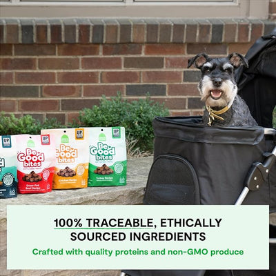 Open Farm, Be Good Bites, Soft Dog Training Treats, Small & Chewy, Made with Ethically & Sustainably Sourced Ingredients, Non-GMO Fruits & Grains, Wild-Caigh Salmon Recipe, 6oz Pouch