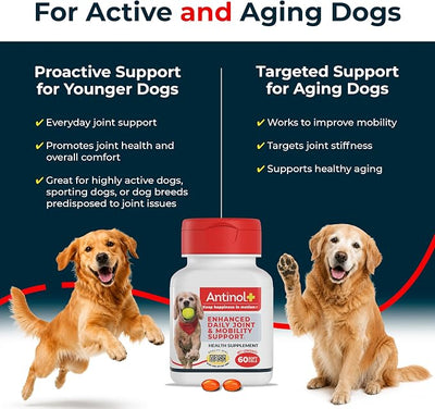 Antinol Plus, Mobility, Hip, and Joint Supplement for Dogs, Green-Lipped Mussels and Krill Oil - Dog Joint Supplement, Better and Faster Than Glucosamine and Chondroitin, 180 Soft Gels