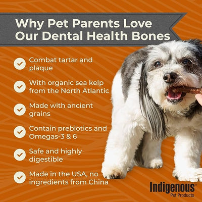 Indigenous Pet Dental Health Bones - Smoked Bacon, 2-Pack (17 oz Each) | Grain-Free Dog Dental Chews with Prebiotics & Omegas | Cleans Teeth, Freshens Breath & Supports Digestion