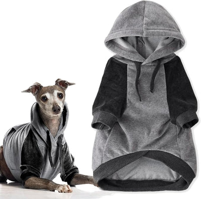 Pet Passion Cooper II Organic Cotton Velour Dog Hoodie Pet Coat for Small, Medium and Large Dogs, Heather Gray Color Block, Medium (20-45 lbs)
