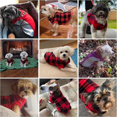 KOOLTAIL Small Dog Sweater - Dog Fleece Vest Jacket with Leash D-Ring for Small Medium Dogs, Soft Pullover Winter Warm Cold Weather Coats, Pet Fall Clothes Outfit for Puppy Cat Boys&Girls, Purple XS