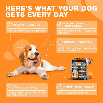 Dog Allergy Relief Chews - Itch Relief for Dogs - 180 Allergy Chews for Itching Skin with Probiotics, Colostrum, Salmon Oil - Allergy, Skin and Coat, Immune, Digestion Support Supplement - Hot Spots