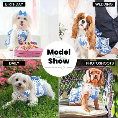 ABRRLO Cute Dog Dress Small Dog Clothes for Girls Female Puppy Outfits Blue Daisy Pet Summer Clothes Bowknot Doggy Cat Princess Dress Harness Set for Holiday Birthday Party Costume Clothing (Blue,M)