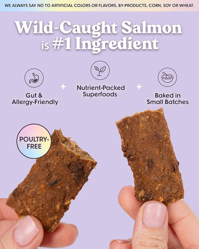 Bundle x Joy Ride & Vibe Wild-Caught Salmon Jerky for Dogs - 2 Lbs Bag, Natural Superfood - Corn, Poultry, Soy & Grain Free Salmon Dog Treats Made in USA Only