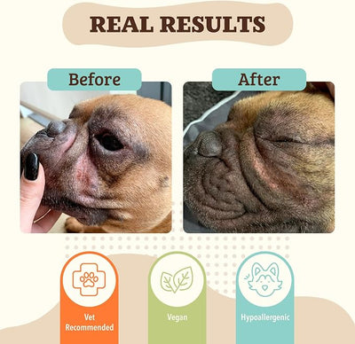 Natural Dog Company Wrinkle Balm for Dogs – Dog Skin Fold Balm for Bulldogs, Frenchies & Pugs, Moisturizing Face Fold Care for Warm Weather, Humid Summer Days & Daily Cleaning Routines, 2 oz Stick