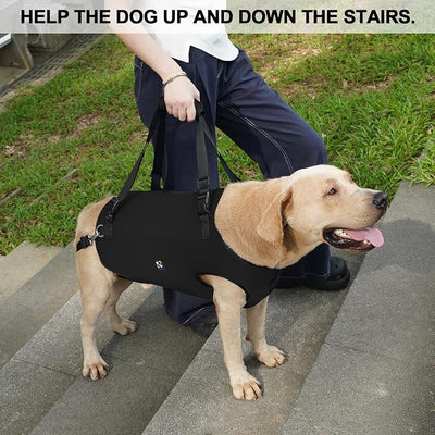 Coodeo Dog Lift Harness, Pet Support & Rehabilitation Sling Lift Adjustable Padded Breathable Straps for Old, Disabled, Joint Injuries, Arthritis, Loss of Stability Dogs Walk (Black, S)