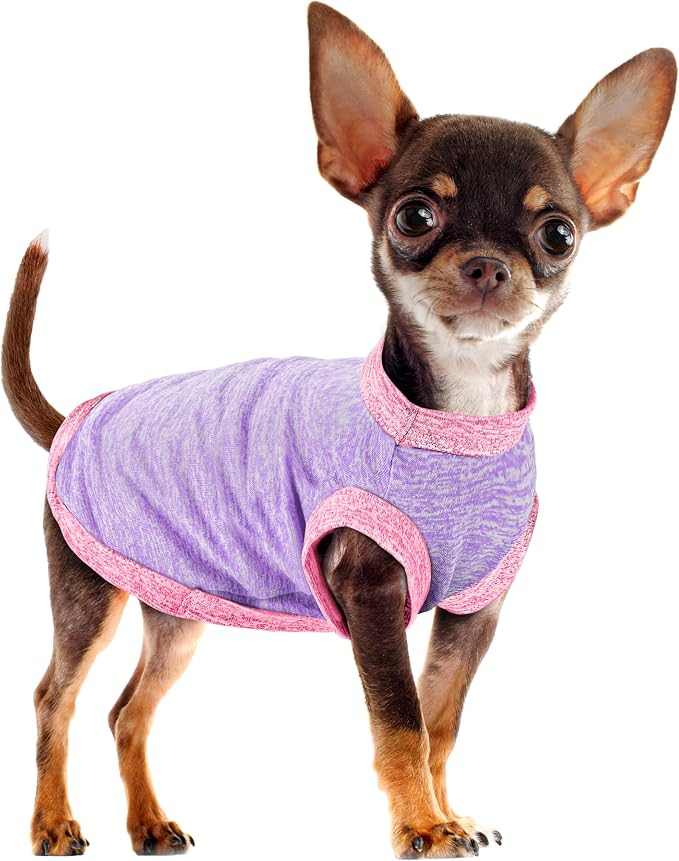 Chic Ion Polyester Dog Vest: Adorable Fashion Apparel for Small, Medium, and Large Breeds, Moisture-Wicking, Soft, Anti-Static, Durable, and Easy-to-Clean Design - Purple XS