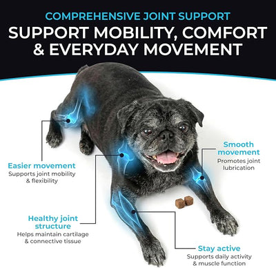 PET'S PALS Dogs Joint Health Supplement - Glucosamine, Chondroitin & MSM - Supports Healthy Joints - Chewable Tablets for Dogs - 30 Soft Chews