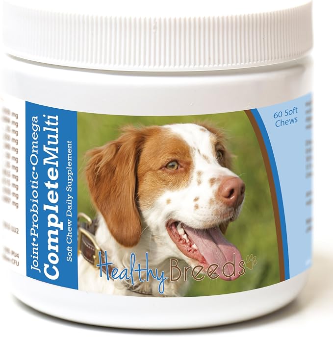 Brittany All in One Multivitamin Soft Chew 60 Count