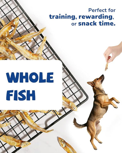 PAWUP Dried Whole Fish Dog Treats, High Protein Omega-3 Snacks | Skin & Coat Health, Training Rewards for Small & Medium Dogs, Grain Free, 8 oz