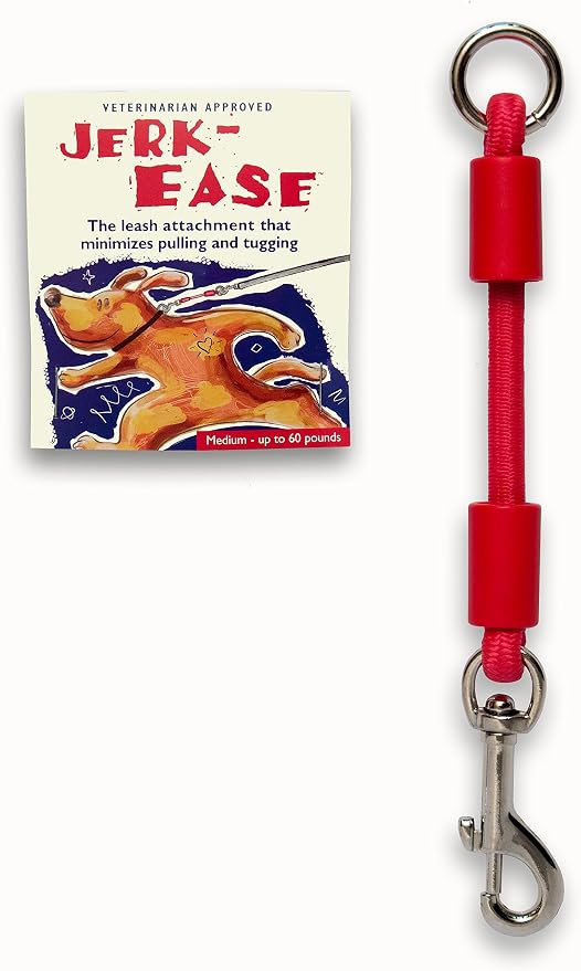 BUNGEE DOG LEASH EXTENSION – Patented Shock Absorber Attachment Protects You and Your Dogs – Works with ANY Leash & Collar or Harness – a MUST for Retractable Leashes – PICK SIZE/COLOR BELOW