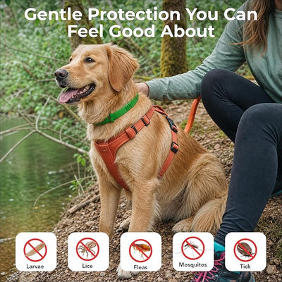 FurLife Flea and Tick Collar for Dogs – Waterproof Green Dog Collar, Pet Supplies for Tick and Flea Prevention for Dogs, Safe for All Breeds