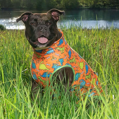 Pittie Clothing Pit Bull Muscle Tee for Dog Breed Dog Shirts Pet Printed Clothes Cool Funny