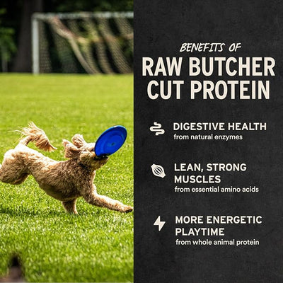 Vital Essentials Freeze Dried Dog Treats | Rabbit Bites, Single Protein | Premium Quality | Grain Free Training Treats for Dogs, 5 oz Bag
