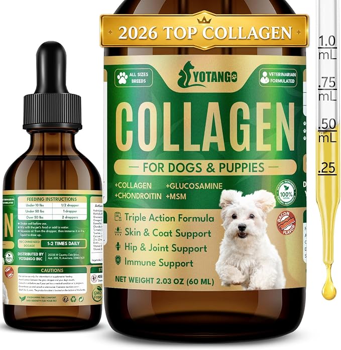 Liquid Collagen for Dogs, Natural Dog Collagen for Skin & Coat Support, Immune Support, Joint & Mobility Care with MSM, Middle-Aged and Older Dogs (Bacon Flavor - 60ml)