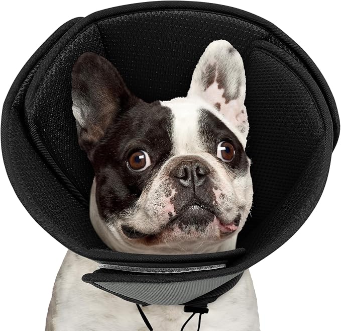 Soft Dog Cone Collar,Comfortable Cones for Small Dogs/Cat to Stop Licking After Surgery, Comfy Elizabethan Collars, Neuter Recovery Ecollars of Shame Alternatives,BlackGrey,M