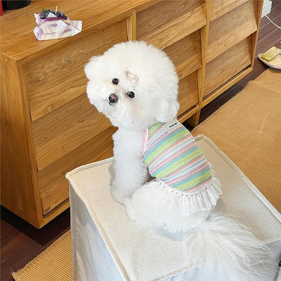 Dog Sling Tank Top with Tulle Skirt, Colorful Striped Pet T-Shirt (Pink, X-Small)