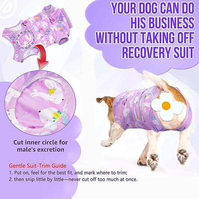 Lukovee Recovery Suit for Dogs, Zipper On Dog Surgery Suit for Female Male Dog, Onesies Bodysuit Prevent Licking Spay Abdominal Wounds Bandages E-Collar Alternative (Purple, XL)