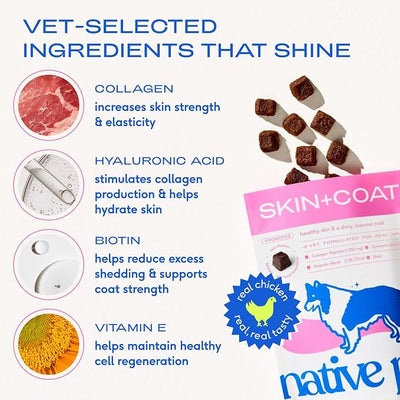 Native Pet Skin & Coat Chews - Omega 3 Fish Oil for Dogs Skin & Coat Supplement - Itch Relief, Shiny Fur & Shedding Support - Collagen, Hyaluronic Acid, Biotin, Probiotics & Salmon Oil - 120 Chews