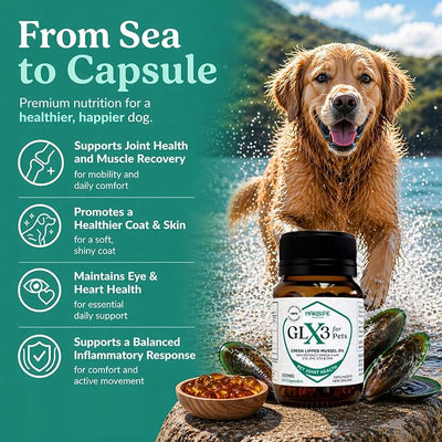 GLX3 Green Lipped Mussel Oil for Dogs | Joint & Hip Comfort Omega-3 Supplement | Ideal for All Dog Breeds and Ages | 2 Month Supply, 120 Gel Capsules w/Natural Ingredients