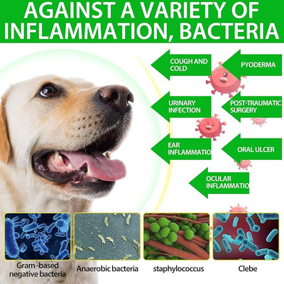 Dog Antibiotics Antibiotics for Dogs Dog Eye Infection Treatment Dog Cough Treatment Dog Cough Treatment 4.04fl.oz(120ml)