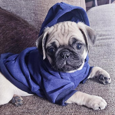 Jecikelon Soft Dog Hoodies for Small Dogs, Fleece Puppy Sweatshirt with Pockets, Warm Winter Cold Weather Coats for Pet Cat, Cute Clothes Puppy Costume (Navy, X-Large)