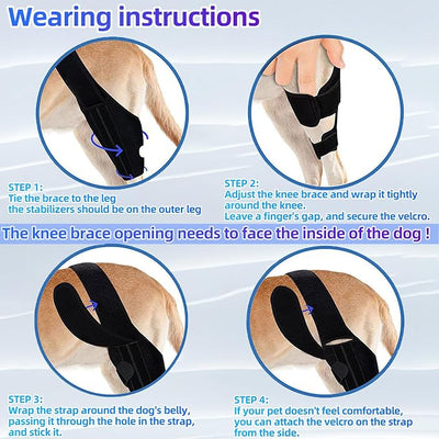 Dog Knee Brace for Torn ACL Hind Leg, Dual-Leg CCL Support with Vest Harness, 4 Metal Stabilizers, Hip Dysplasia & Luxating Patella Support, Vet-Recommended Rear Leg Brace for Dogs