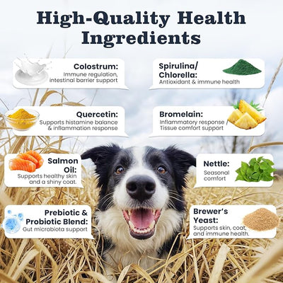 Dog Allergy Chews 200 Ct, Itch Relief for Dogs Immune Support Colostrum Probiotics & Omega 3 for Seasonal All Issues Allergies Skin & Coat, Itchy Skin & Paw Relief Bites, Made in USA Chicken Flavor