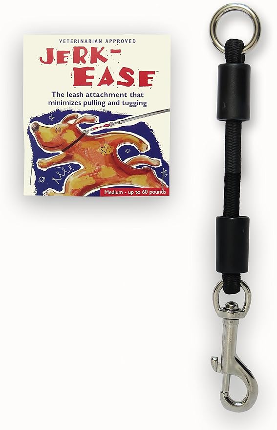 BUNGEE DOG LEASH EXTENSION – Patented Shock Absorber Attachment Protects You and Your Dogs – Works with ANY Leash & Collar or Harness – a MUST for Retractable Leashes – PICK SIZE/COLOR BELOW