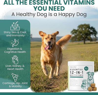 12-in-1 Multivitamin for Dogs - 240 Puppy and Senior Dog Vitamin and Supplement Soft Chews for Hip and Joint - Advanced Formula with Glucosamine, Omega 3,6,9, Vitamins, Probiotics, and More