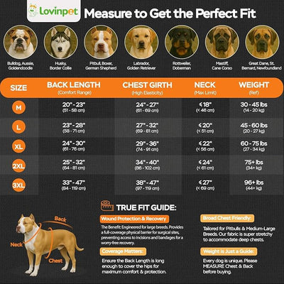 LovinPet Dog Recovery Suit, Easy Snap-Back Cover for Large Dogs, Bodysuit for Female Dogs, Solid-Color Surgery Suit with Cushioned Belly Panel, Pink, XL