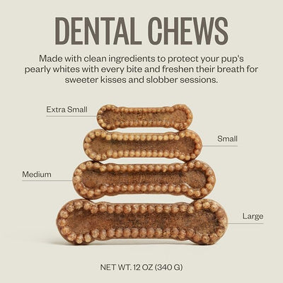 Ollie Dental Chews for Extra Small Dogs, 12 Oz, Fresh Breath, Teeth Cleaning Treats, Sticks for Dog Oral Care, with Parsley and Cinnimon, for Pups 5-15 lbs