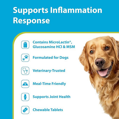 PRN Pharmacal Duralactin Canine Joint Plus Soft Chews - Joint Health Supplement for Dogs & Puppies - Pet Mobility Support - 60 Soft Chews