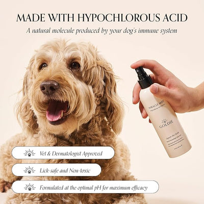 Goldie Dog Essentials Miracle Mist Hypochlorous Acid Spray for Dogs | Hot Spots | Paw Licking | Itchy Skin | Minor Wounds | Odor Support | Lick Safe | Fragrance Free | Alcohol Free