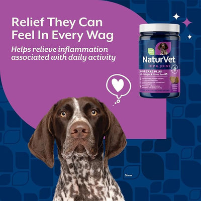 NaturVet Hemp Advanced Joint Health Dog Supplement Plus Hemp Seed – Helps Support Joint Health in Dogs – Includes, Collagen, Glucosamine, MSM, Chondroitin, Omegas – 60 Ct.